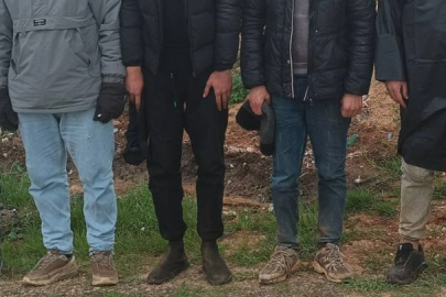 Edirne ve Kırklareli'nde 8 Düzensiz Göçmen Yakalandı