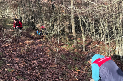 Kırklareli’de Hububat Zararlısı Süneye Karşı Kışlak Kontrolleri Yapıldı