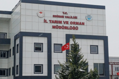 İpsala’da 6 Milyon Sazan Yavrusu Üretilecek