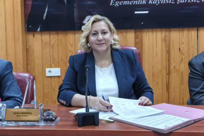 Meclisten Gegeoğlu’na İller Bankası’nda Görev