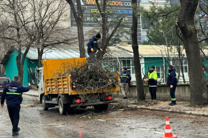 Edirne’de Ağaçlara Kış Bakımı