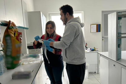 Kedi ve Köpek Maması Üreten İşletmede Denetim