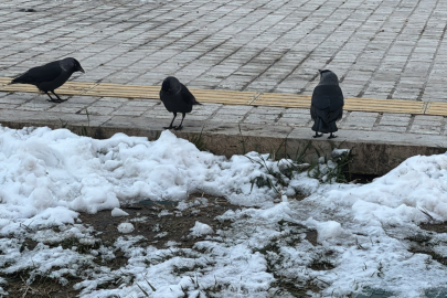 Trakya'da Soğuk Hava Etkili Oluyor