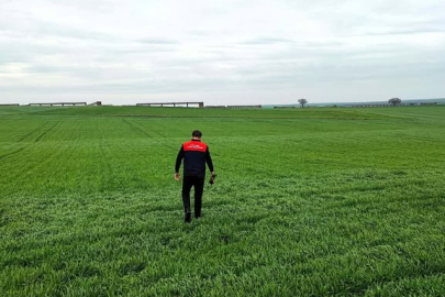 Babaeski’de Hububat Ekili Alanlarda Kontroller Gerçekleştirildi