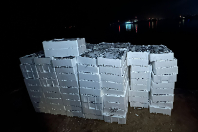 Kırklareli'nde Yasal Boy Sınırı Altında Avlanan 1 Ton 300 Kilogram İstavrite El Konuldu