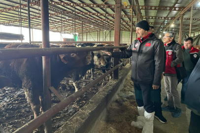 Tekirdağ İl Tarım ve Orman Müdürü Mehmet Aksoy İşletmeleri Ziyaret Etti