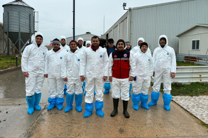 Edirne’de Hayvan Sağlığı Taramaları Aralıksız Sürüyor