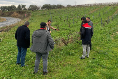 Tekirdağ’da İncir Üreticilerine Teknik Gezi ve Eğitim