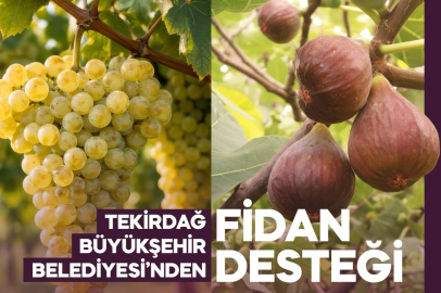 Tekirdağ Büyükşehir Belediyesi’nden Üreticiye Destek