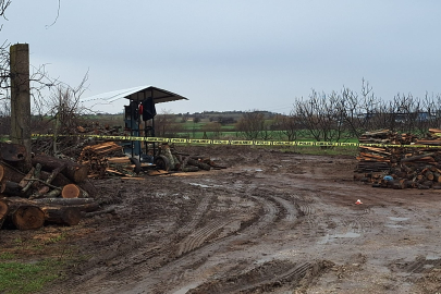 Kırklareli'nde Odun Keserken Hızarın Üzerine Düşen İşçi Ağır Yaralandı