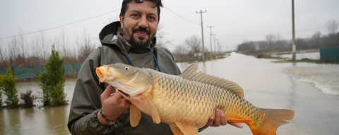 Meriç Nehri'nin Taşmasıyla Bazı Vatandaşlar Tarlasında Canlı Sazan Balığı Yakaladı