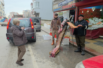 Taşkın Dev Balığı Kıyıya Attı: 102 Kilo, 2.40 Metre
