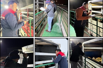 Edirneli Veteriner Hekimler Erzurum’da Denetimde