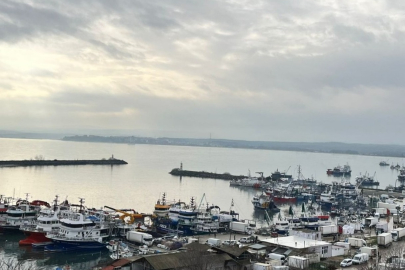 Kırklareli’nde Bir Haftada Yaklaşık 3 Milyon Kilo Hamsi Karaya Çıkarıldı