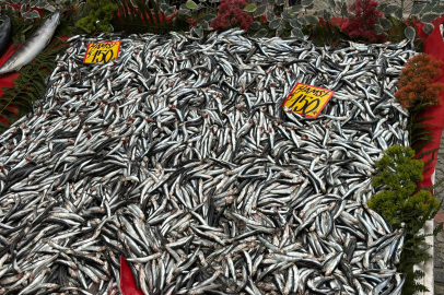 ‎Hamsi 150 TL’ye Düştü