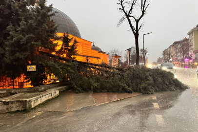 ‎Edirne'de Yağış ve Fırtına Ağaç Devirdi