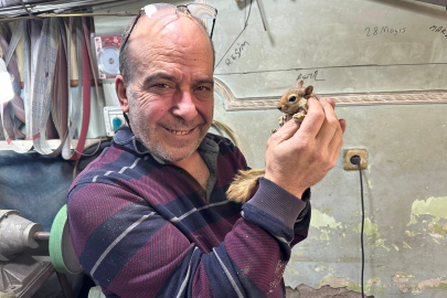 Ormanda Bulduğu Sincap En Yakın Dostu Oldu