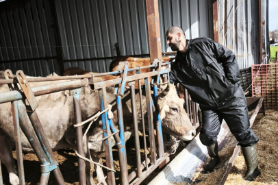 Kırklareli’nde Şap Aşılama Çalışmaları Başladı
