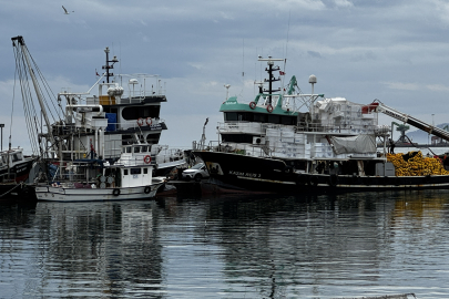Tekirdağ'da Deniz Ulaşımı Normale Döndü