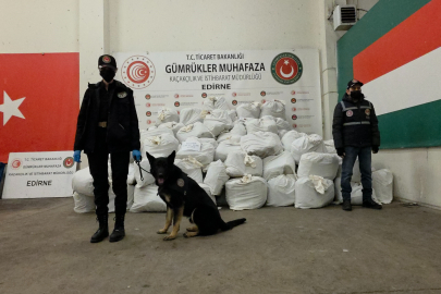 Kapıkule’de Rekor Yakama: 914 Kilo Esrar Ele Geçirildi