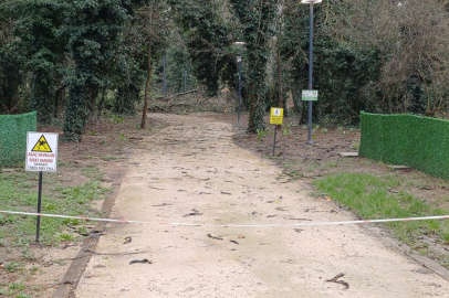 Söğütlük’te Orman Yürüyüş Yolları Geçici Olarak Kapatıldı