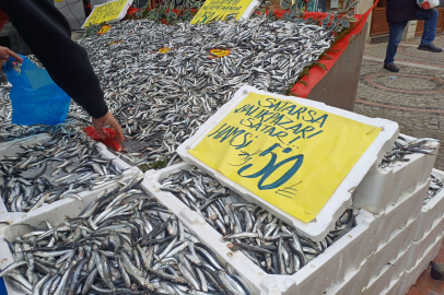 Ramazan Hamsi Bereketi ile Geldi