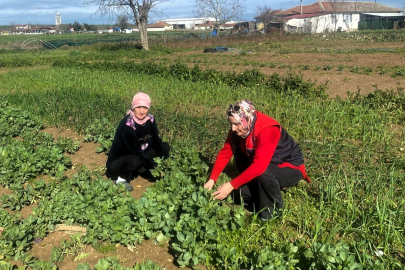 Kadın Çiftçiye Teknik Ziyaret Gerçekleştirildi
