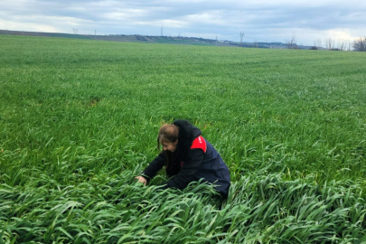 Lüleburgaz’da Hububat Ekili Alanlarda Teknik Kontrol