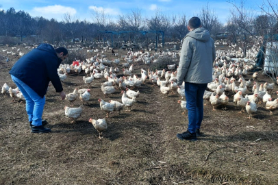Pınarhisar’da Kanatlı Hayvancılık İşletmelerine Denetim