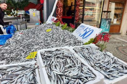 Edirne’de Hamsi Yeniden 50 Lira