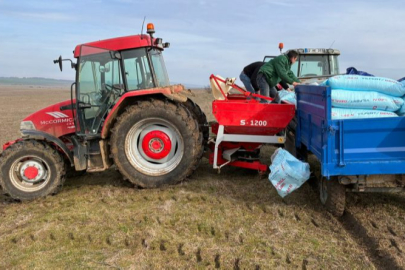 Budakdoğanca Meraları Bahara Gübreleme Çalışmalarıyla Hazırlanıyor
