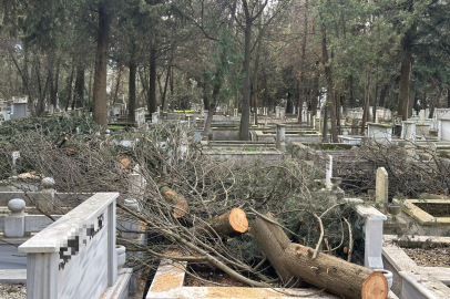 Mezarlıktaki Ağaçları Budayıp Dallarını Bıraktılar