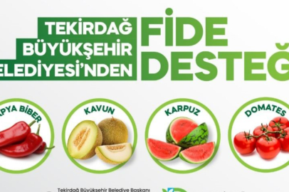 Üreticiye Yüzde 70 Hibeli Fide Desteği