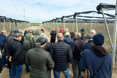 Kırklareli’nde Üreticilere Budama Eğitimi Verildi