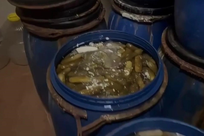 Babaeski’de Ruhsatsız Turşu İmalathanesine Baskın: 2,5 Ton Ürün İmha Edildi