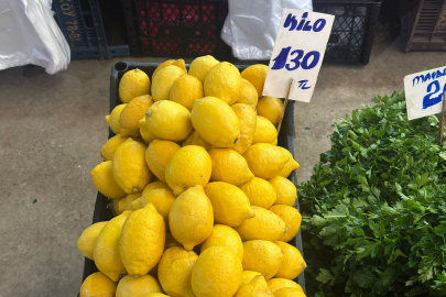 Vitamin Deposu Limon Cep Yaktı