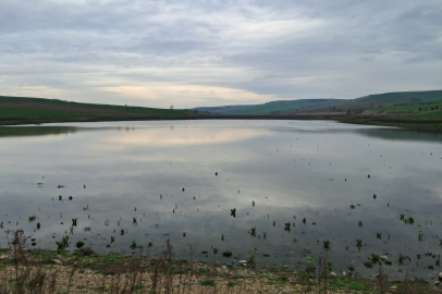 Kuruyan Yeşilsırt Göleti Yağışlarla Yeniden Hayat Buldu