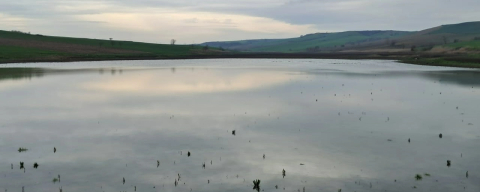 Kuruyan Yeşilsırt Göleti Yağışlarla Yeniden Hayat Buldu