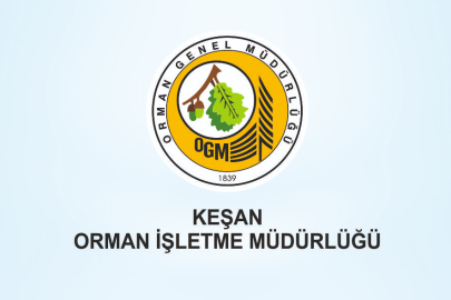 ETÜD PROJE HİZMETİ ALINACAK