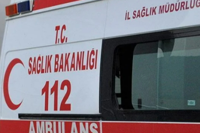 Yola Atlayan Kedi Kazaya Sebep Oldu