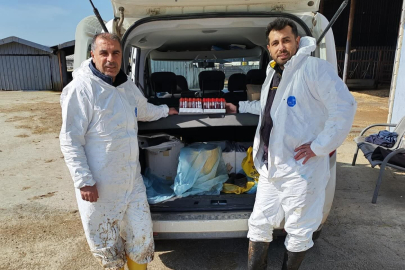 Ari İşletmede Tüberküloz ve Brusella Testi Yapıldı