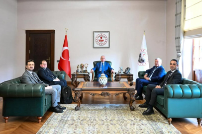 Palmet Enerji Yönetiminden Valiliğe Ziyaret