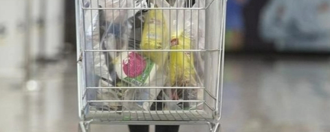 Şubat Ayında Yıllık Enflasyon Yüzde 31,53 Oldu