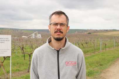 Tescillenen "Gün Işığı" Üzümünün Yaygınlaştırılması Hedefleniyor