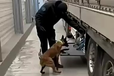 Türk TIR’ında Kokain Ele Geçirildi: 2 Gözaltı