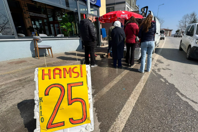 Hamsi Fiyatında Sert Düşüş: 450 TL’den 25 TL’ye Geriledi