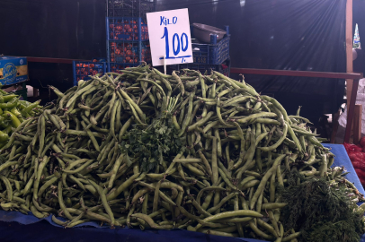 Sezonun İlk Baklası Edirne Pazarında