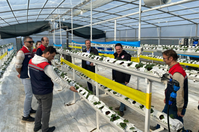 Beğendik’te Topraksız Çilek Üretimine Ziyaret