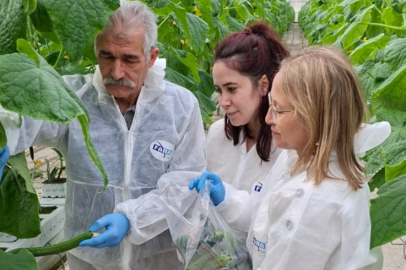 Ergene’de Serada Üretilen Hıyarlardan Kalıntı Analizi İçin Numune Alındı