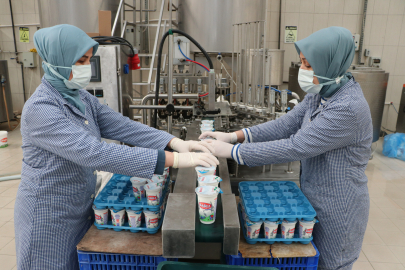 Tekirdağlı Kadınlar Her Gün 7 Ton Sütü Lezzete Dönüştürüyor